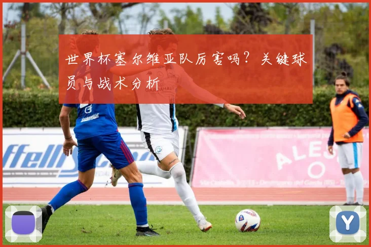 世界杯塞尔维亚队厉害吗?关键球员与战术分析