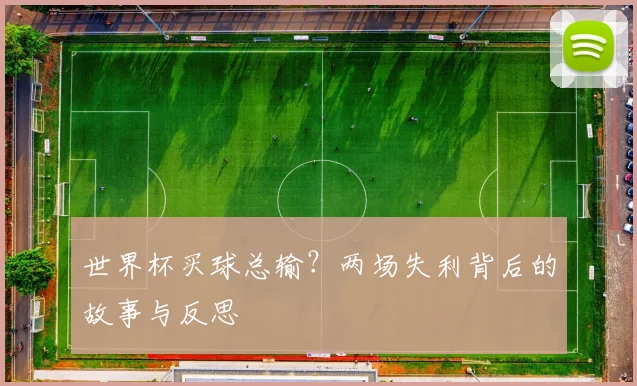 世界杯买球总输?两场失利背后的故事与反思