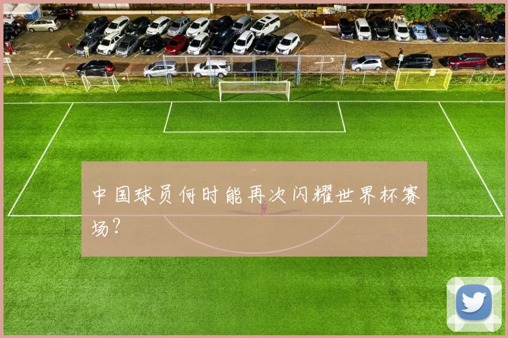 中国球员何时能再次闪耀世界杯赛场？