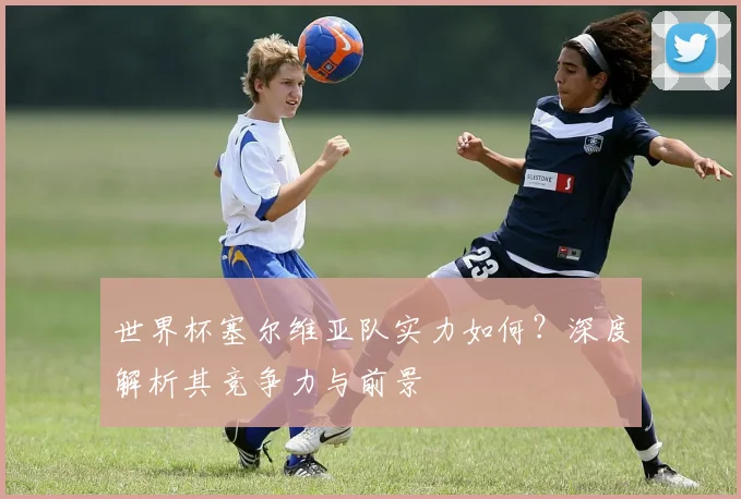 世界杯塞尔维亚队实力如何?深度解析其竞争力与前景