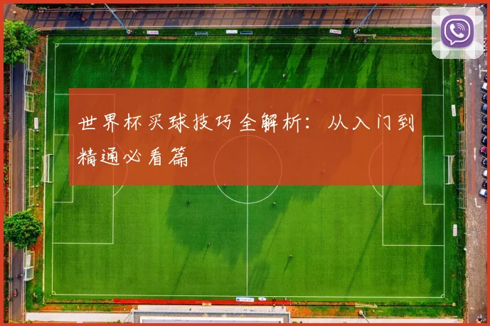 世界杯买球技巧全解析:从入门到精通必看篇