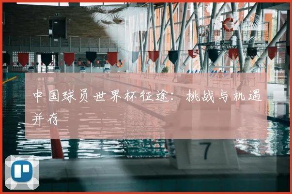 中国球员世界杯征途:挑战与机遇并存