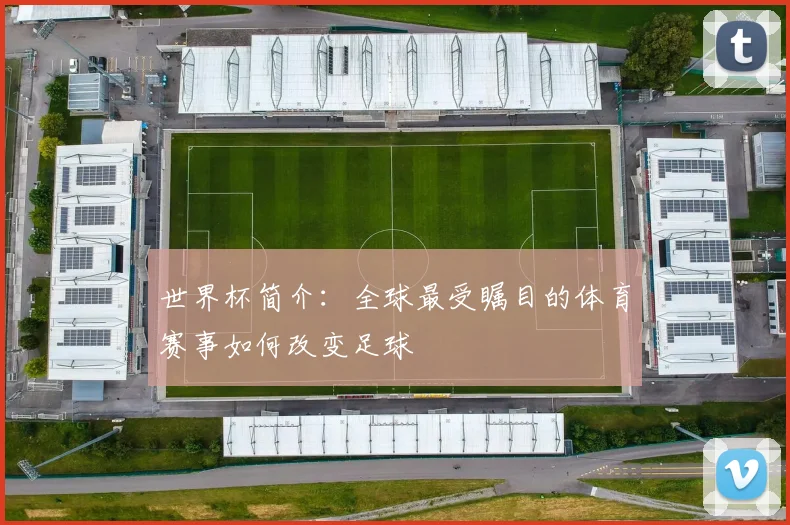 世界杯简介:全球最受瞩目的体育赛事如何改变足球