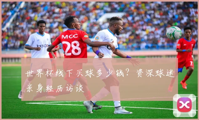 世界杯线下买球多少钱?资深球迷亲身经历访谈