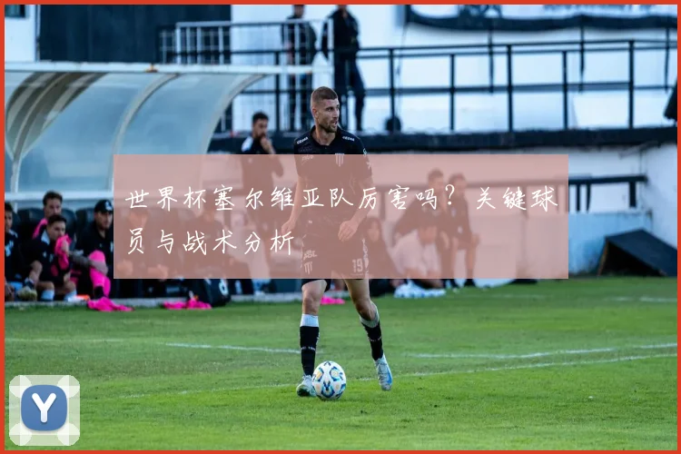 世界杯塞尔维亚队厉害吗?关键球员与战术分析
