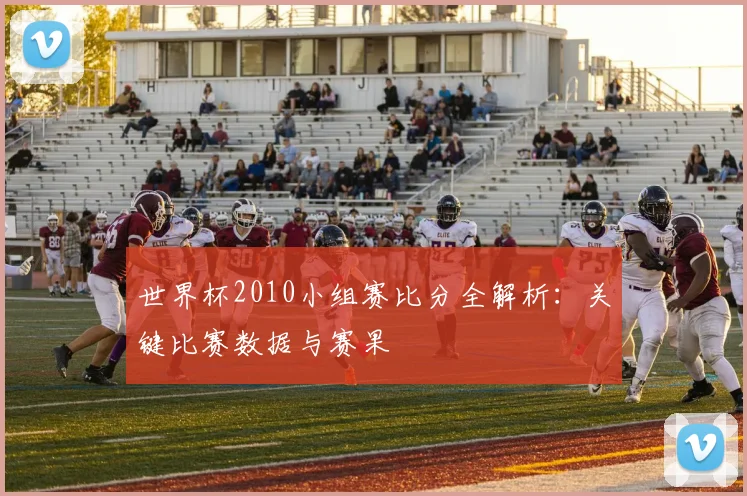世界杯2010小组赛比分全解析:关键比赛数据与赛果