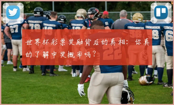 世界杯彩票奖励背后的真相:你真的了解中奖概率吗?