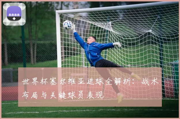 世界杯塞尔维亚进球全解析:战术布局与关键球员表现