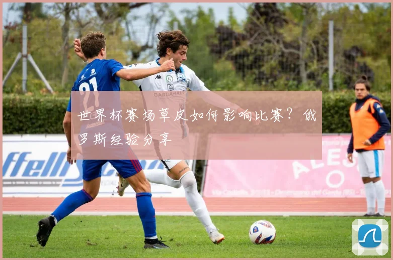 世界杯赛场草皮如何影响比赛?俄罗斯经验分享