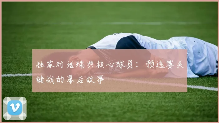 独家对话瑞典核心球员：预选赛关键战的幕后故事