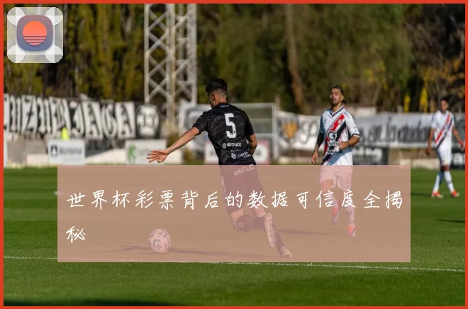 世界杯彩票背后的数据可信度全揭秘