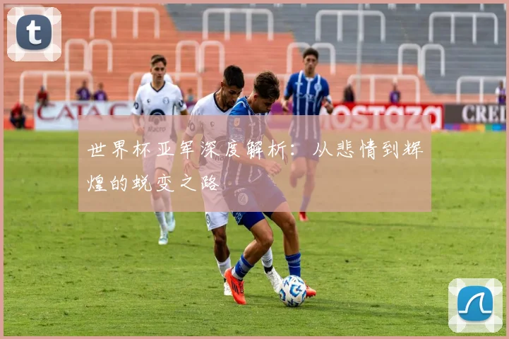 世界杯亚军深度解析：从悲情到辉煌的蜕变之路