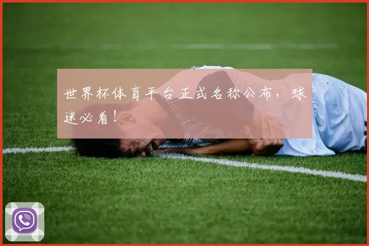 世界杯体育平台正式名称公布，球迷必看！