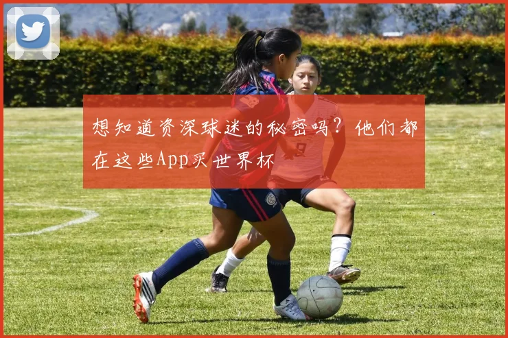 想知道资深球迷的秘密吗？他们都在这些App买世界杯